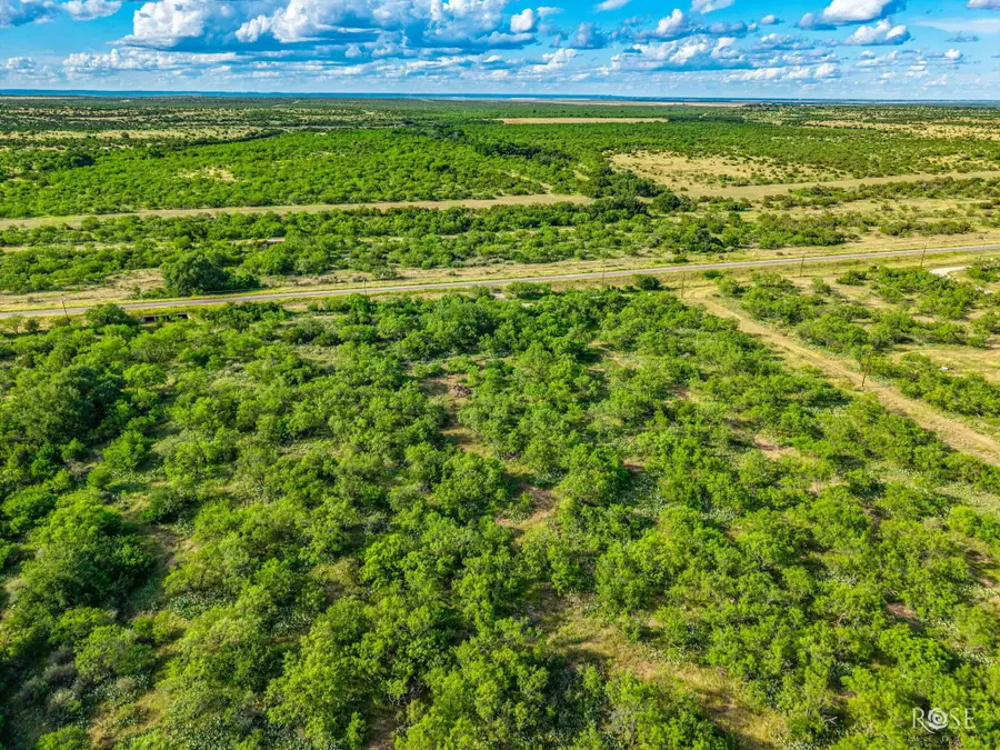 9597 W Farm To Market 2335, Christoval, TX 76935 - #3