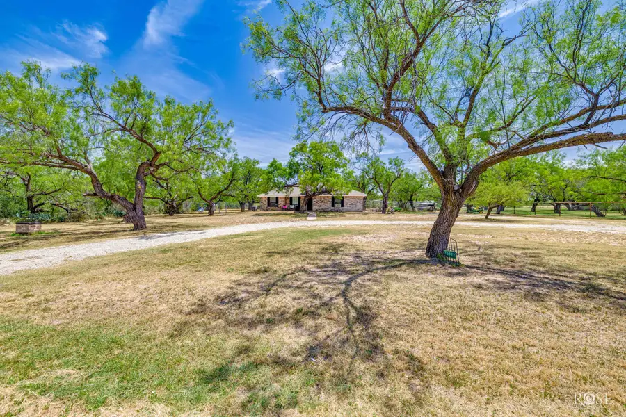 15977 Fitzgerald Drive, San Angelo, TX 76904 - #2