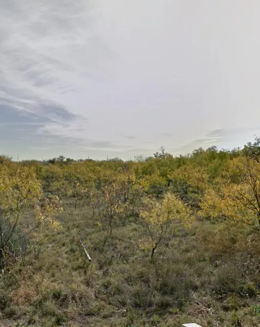 803 3rd Street, Miles, TX 76861 - #3