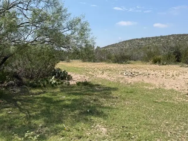 217 Eastwood Rd, Comstock, TX 78837 - #1