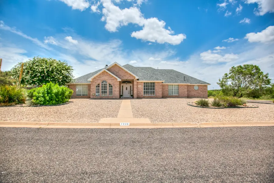 1225 Avondale Avenue, San Angelo, TX 76901 - #2