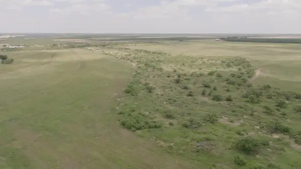 000 Fm 2596, Eldorado, TX 76936