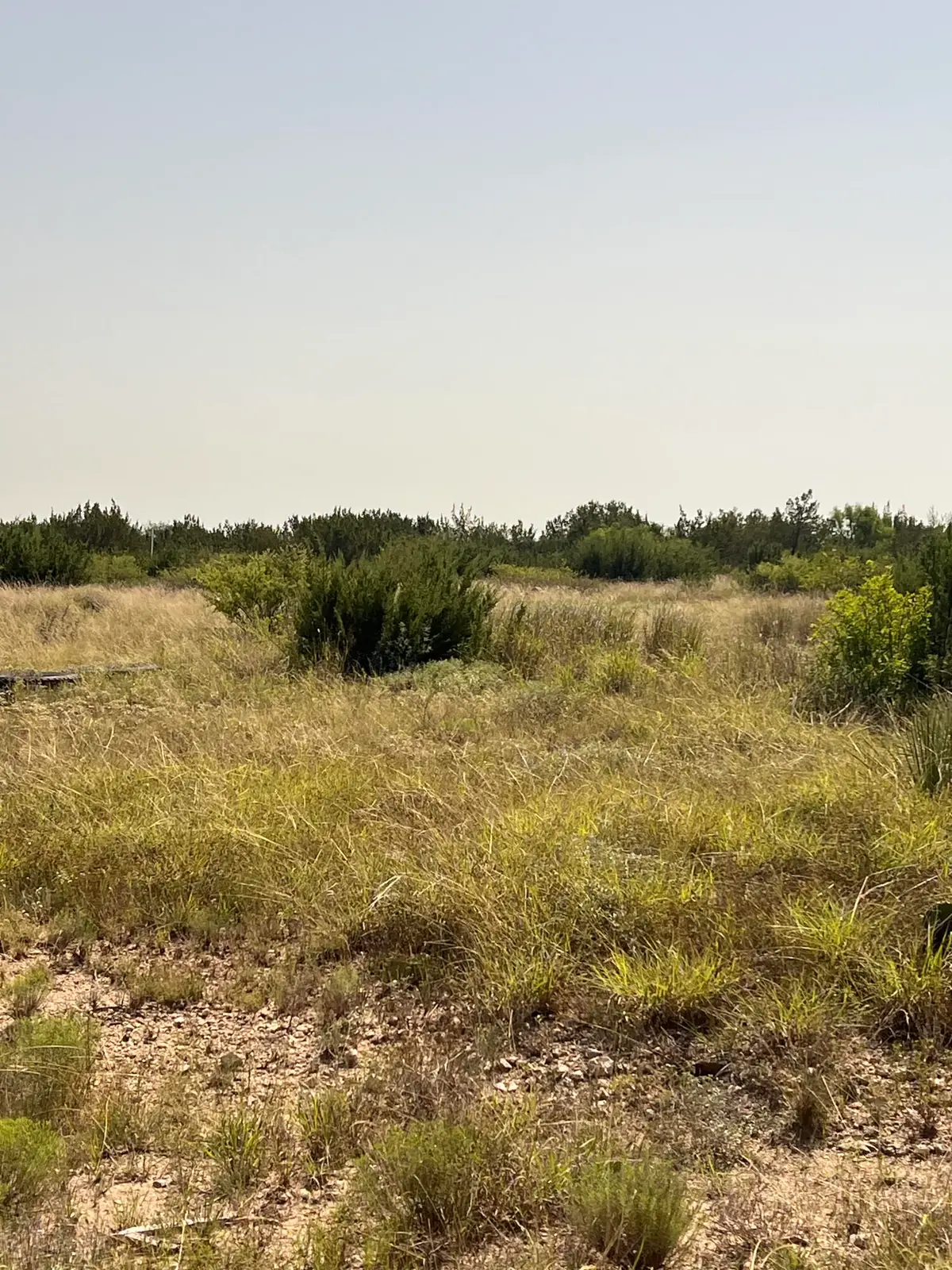 21009 Frank Road, Paint Rock, TX 76866 - #1