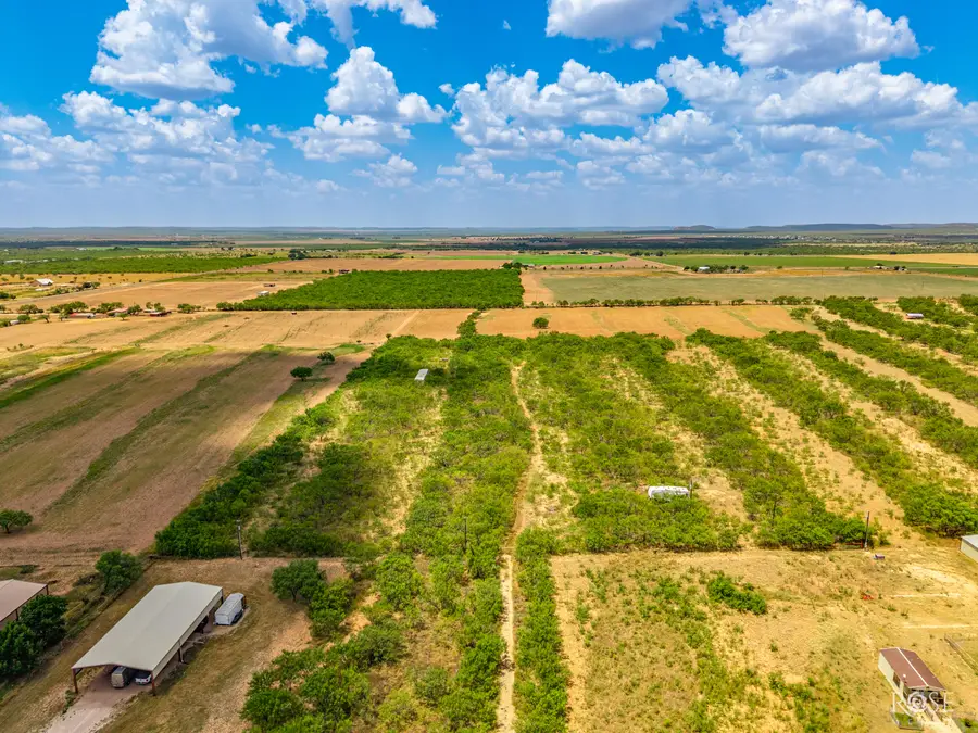 11055 N Grape Creek Road, San Angelo, TX 76901 - #3