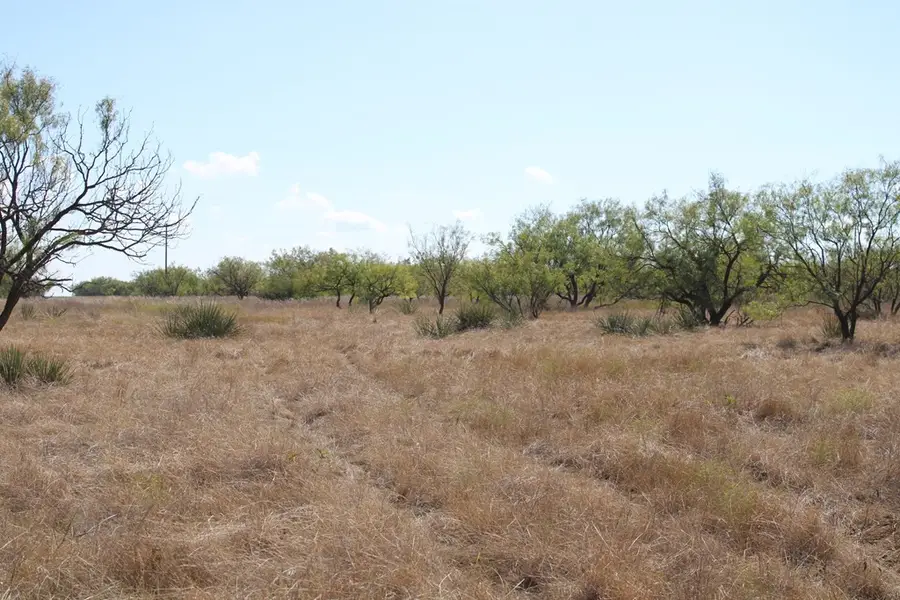 0 County Rd 130 Highway, Ballinger, TX 76821 - #2
