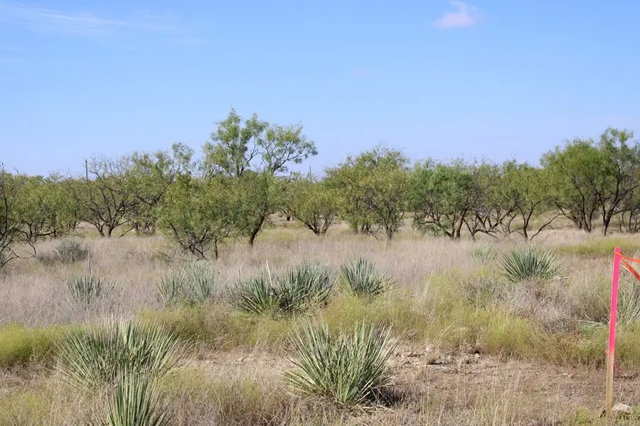 0 County Rd 130 Highway, Ballinger, TX 76821 - #3