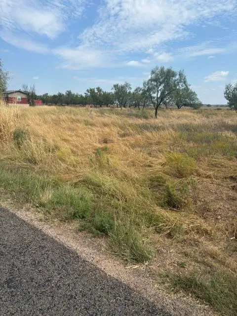 10024 Possum Hollow Road, Grape Creek, TX 76901 - #3