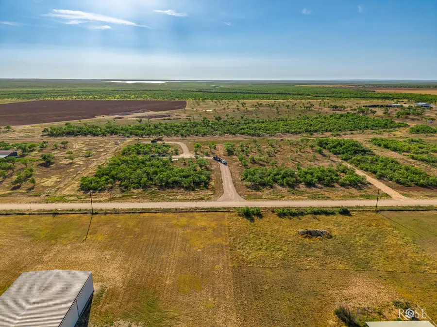 8338 Rychlik Ranch Road, San Angelo, TX 76904 - #2