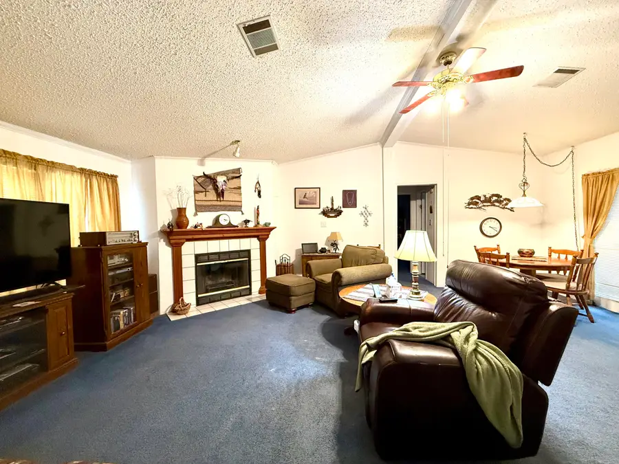 102 W 4th Street, Robert Lee, TX 76945 - #3
