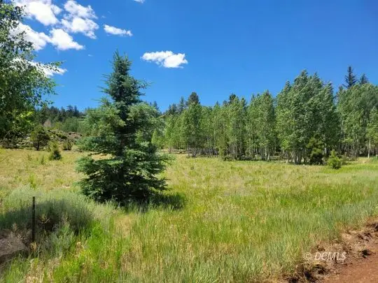 4175 N Sundance Kid Ln, Duck Creek Village, UT 84762 - #2