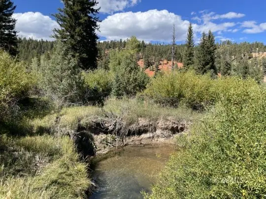 65 E Tommy Creek Rd, Mammoth Creek, UT 84735