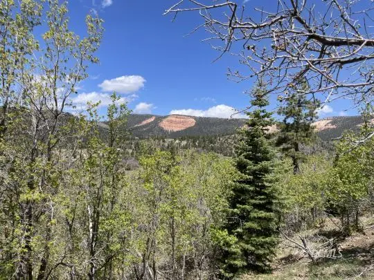 115 N Fir Cir, Duck Creek Village, UT 84762 - Image #2