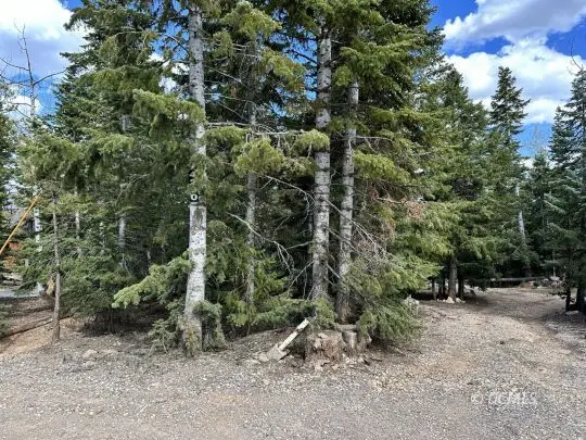 4290 N Cedar Mountain Dr, Duck Creek Village, UT 84762 - Image #2