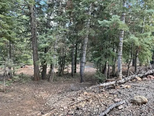 4290 N Cedar Mountain Dr, Duck Creek Village, UT 84762 - Image #3