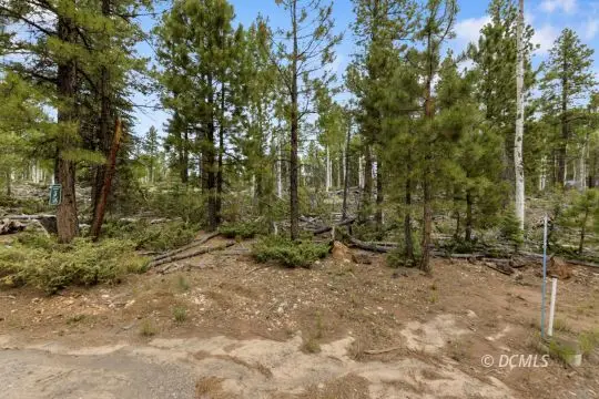 Aspen Grove Ct #5, Duck Creek Village, UT 84762 - Image #3