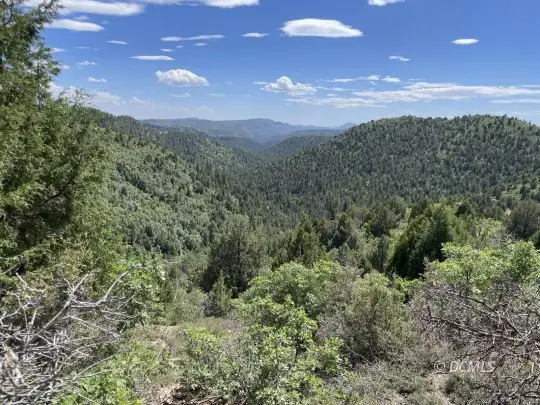 77 Skyhaven Mtn Retreat, Duck Creek Village, UT 84762 - Image #2