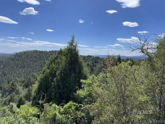 77 Skyhaven Mtn Retreat, Duck Creek Village, UT 84762 - Image #3