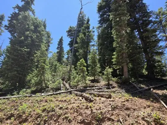 1225 W Twisted Trail, Duck Creek Village, UT 84762 - Image #2