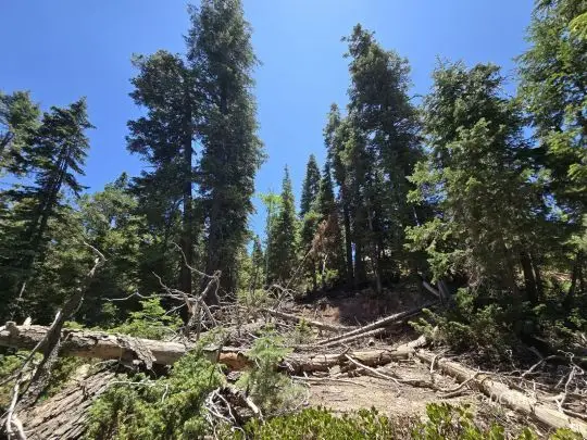 1225 W Twisted Trail, Duck Creek Village, UT 84762 - Image #3