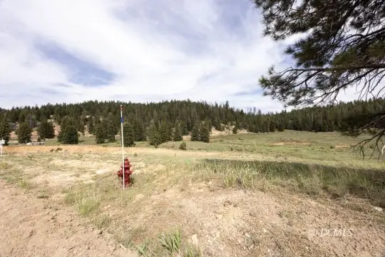#2