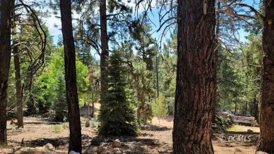 #3