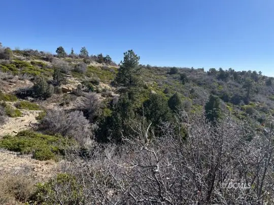 8 Coral Springs Rd, Duck Creek Village, UT 84762 - Image #3