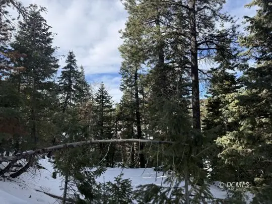 1015 E Pioneer Rd, Duck Creek Village, UT 84762 - Image #2