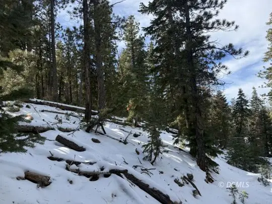 1015 E Pioneer Rd, Duck Creek Village, UT 84762 - Image #3