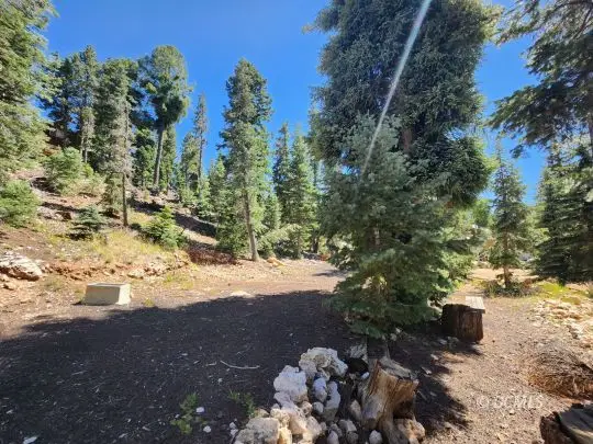 3160 N Pinecrest, Duck Creek Village, UT 84762 - Image #2