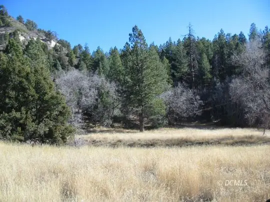 Stevens Canyon, Duck Creek Village, UT 84762 - #1