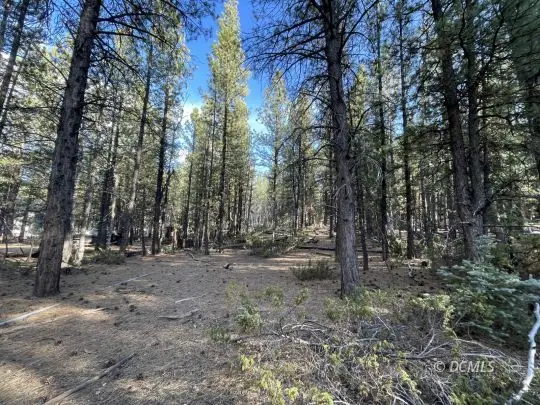 90 W Mammoth View Dr, Mammoth Creek, UT 84735 - #1