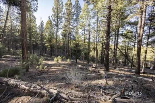 6 Roosevelt Ln, Duck Creek Village, UT 84762 - #1