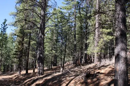 250 W Aspen Dr, Mammoth Creek, UT 84735 - #1