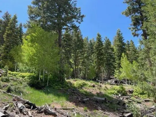 31, 32 Bonnie Green Dr, Millard, UT 84710 - #3