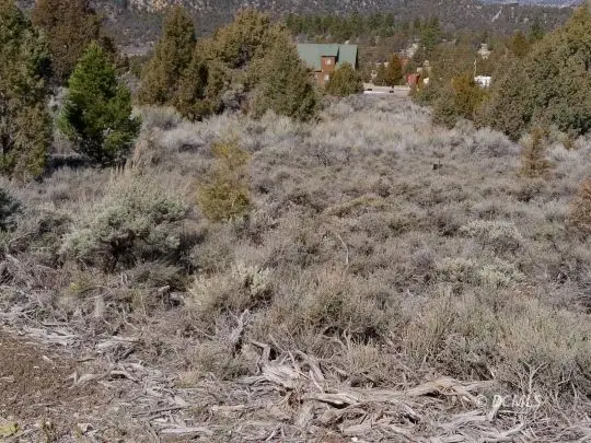 Lot 21 Uintah Dr, Alton, UT 84710 - #2