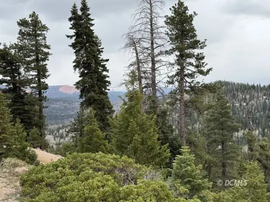 5140 W Bear Cir, Duck Creek Village, UT 84762