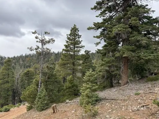 5140 W Bear Cir, Duck Creek Village, UT 84762 - #2