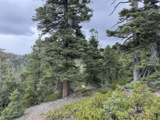 5140 W Bear Cir, Duck Creek Village, UT 84762 - #3