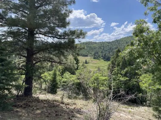 6162 W Badger Dr, Duck Creek Village, UT 84762 - #3