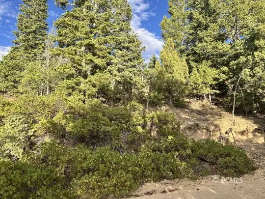 Bonnie Green, Alton, UT 84710 - #3