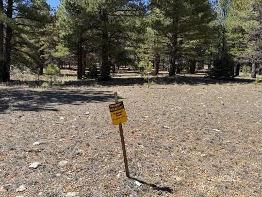 Swains Creek Rd, Duck Creek Village, UT 84762 - #3