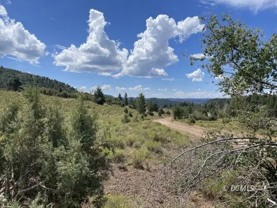 99 North Fork Rd, Duck Creek Village, UT 84762 - #2