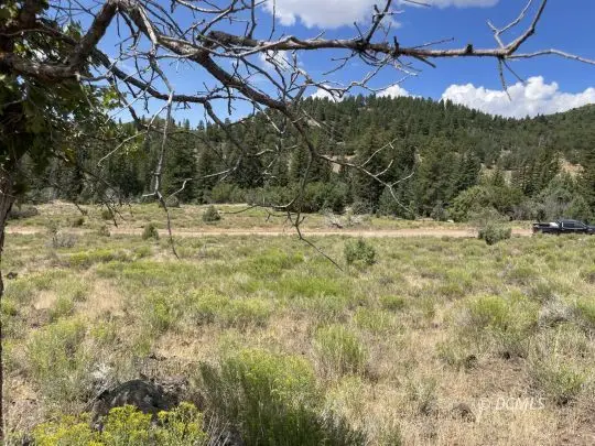 99 North Fork Rd, Duck Creek Village, UT 84762 - #3