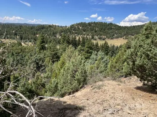 82 N Volcanic Dr, Duck Creek Village, UT 84762 - #2