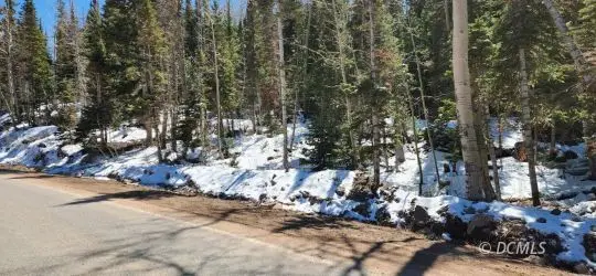 641 N Hwy 143, Brian Head, UT 84719 - #2