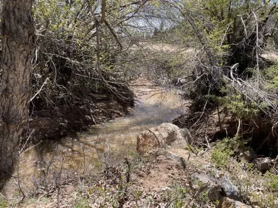 North Fork Rd, Duck Creek Village, UT 84762 - #3