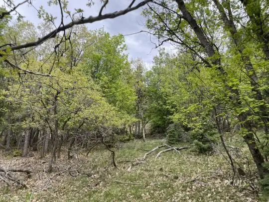 116 N Fir Cir, Duck Creek Village, UT 84762 - #3