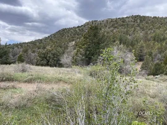 103 Skyhaven, Duck Creek Village, UT 84762 - #2