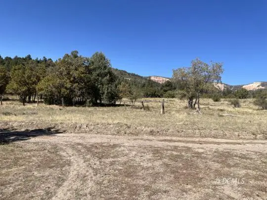 260 Turkey Cir, Duck Creek Village, UT 84762 - #2