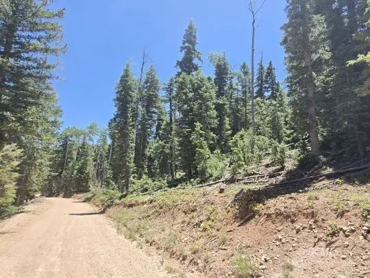 1225 W Twisted Trail, Duck Creek Village, UT 84762 - #1